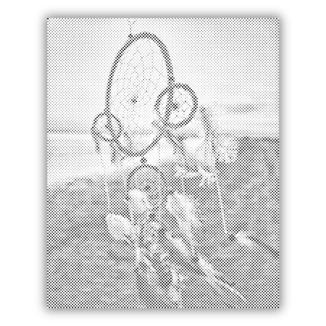 Dreamcatcher in the Wind | Dot Painting Kit som færdigt mal med prikker motiv